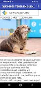 Como Elegir Mi Perro screenshot 1