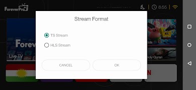 Forever Pro plus IPTV Screenshot 4