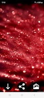Glitter HD Wallpapers 포스터