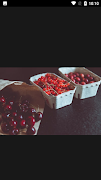 HD Cherry Idea screenshot 2