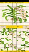ttpuzzle08a স্ক্রিনশট 5
