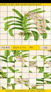 ttpuzzle08a screenshot 5