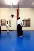 Aikido Lessons Plakat