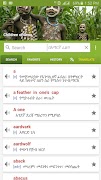 Amharic Dictionary - Translate screenshot 3