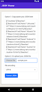 JSON Viewer & Formatter captura de pantalla 1