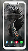 Betta Fish Wallpaper screenshot 7