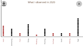 Crow Scientist Ekran Görüntüsü 7