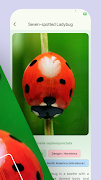 Insect & Bug identifier: Bugg স্ক্রিনশট 6