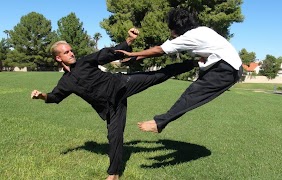 Learn Kung Fu Training 2020 تصوير الشاشة 6