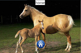 رحلة لحديقة الحيوانات - The Zo screenshot 5