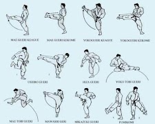 6 Schermata Impara il karate per principianti
