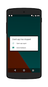 Crash.app - app crashed dev pr screenshot 2
