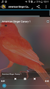 canary bird screenshot 1