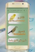 صوت الكناري والحسون بدون نت Poster