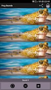 Frog Sounds poster