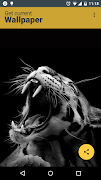 Get Current Wallpaper 截圖 1