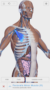 Visual Anatomy 3D - Human পোস্টার
