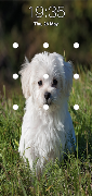 Puppy Dog Pattern Lock Screen screenshot 5
