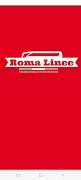 Poster Roma Linee
