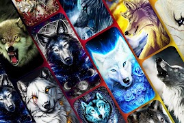 Wolf Wallpaper HD screenshot 1
