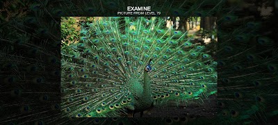 Picture LF screenshot 5