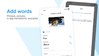 2 Schermata StudyCards: Language Flashcard