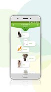 Screen Fun Animals screenshot 3