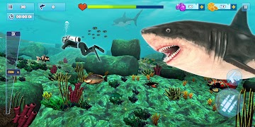 Shark Attack: 3D Hunting Games स्क्रीनशॉट 3