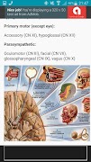 NeuroBasics Ekran Görüntüsü 5