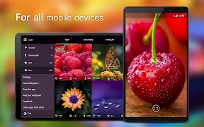 Macro Wallpapers 4K ภาพหน้าจอ 4