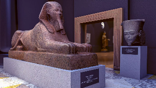 Museum VR captura de pantalla 6