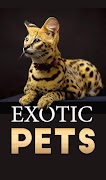 پوستر Exotic Pets
