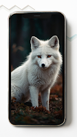 White Fox HD Wallpapers скриншот 7