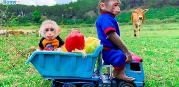 Bibi The Monkey captura de pantalla 7