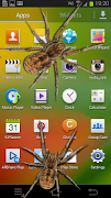 Spider in phone prank Screenshot 4