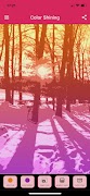 Popsi Color Cartaz
