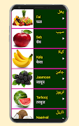 Learn Urdu From Hindi 截圖 6
