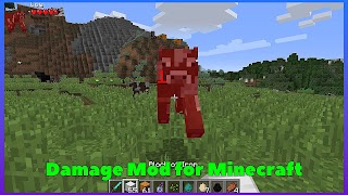 5 Schermata Damage Indicator Mod Minecraft