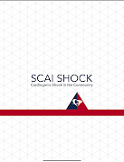 SCAI SHOCK 2023 ảnh chụp màn hình 6