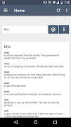 Writer's Dictionary screenshot 1