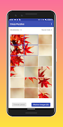 Crazy Puzzles Screenshot 3