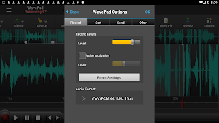 WavePad Master's Edition 2023 captura de pantalla 6
