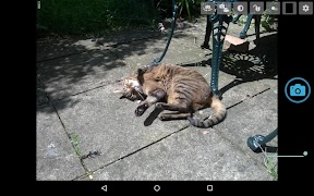 Qmote Camera screenshot 3