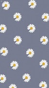 Daisy Wallpapers screenshot 1