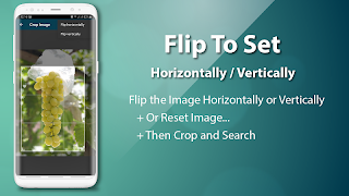 Reverse Image Search screenshot 3