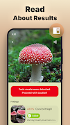 Mushroom Identification 截圖 2
