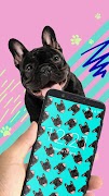 Patternator 拍特内头：壁纸编辑器 海报
