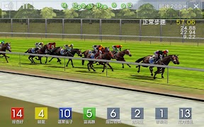 Race Simulator screenshot 3