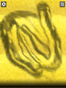 Slime Antistress screenshot 2