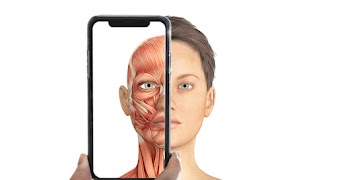 Body Scanner - Skeletal System スクリーンショット 2